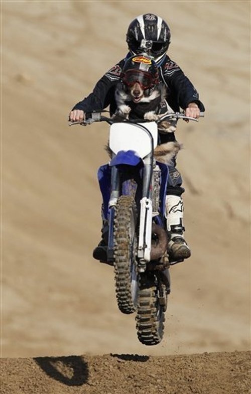 Opee, nouvelle mascotte motocross enduro