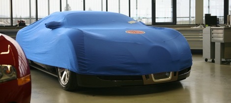 Picture of the Veyron Hermes