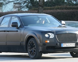 Spyshots: baby Rolls