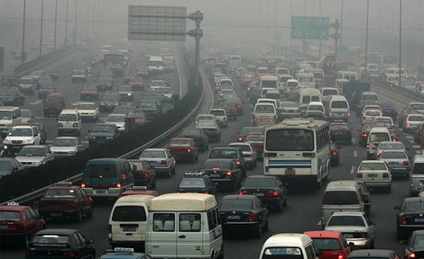 Chinese government bans 444 vehicles